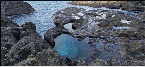 ▲ 그림2. 구룡소의 파식구와 마린포트홀 군. 여러 개의 마린포트홀이 무리를 이루고 있다.