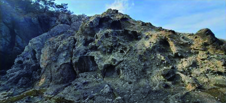 ▲ 그림9. 구룡소 갯바위 표면의 타포니. 사진 왼쪽의 큰 타포니와 오른쪽 바위 표면을 덮은 다양한 크기의 타포니.