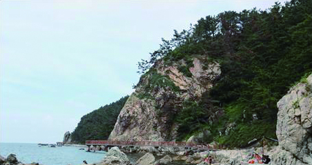 ▲ 그림10. 다양한 방향의 절리가 발달한 해식애.