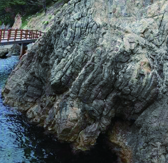 ▲ 그림11. 해식애에 발달한 주상절리. 해식애 아랫부분에 작은 해식동굴이 형성되고 있다.