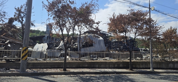 ▲ 화재 피해로 인해 쑥대밭이 된 가로수. ⓒ시민제보