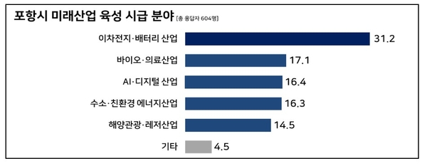 ▲ 포항시 미래산업 육성 시급 분야 ⓒ경북도