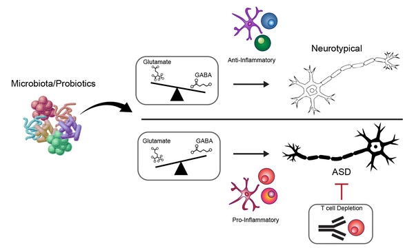 ▲ 연구 이미지 ⓒ포스텍