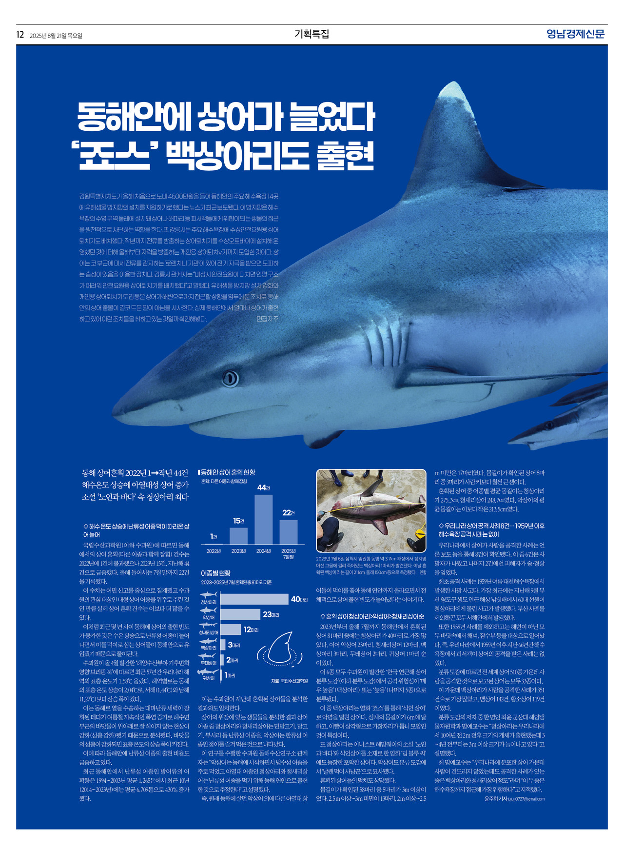 제작/윤주희 기자