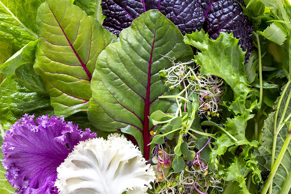 ▲ 기사와 관련 없는 이미지입니다. ⓒ영남경제 자료