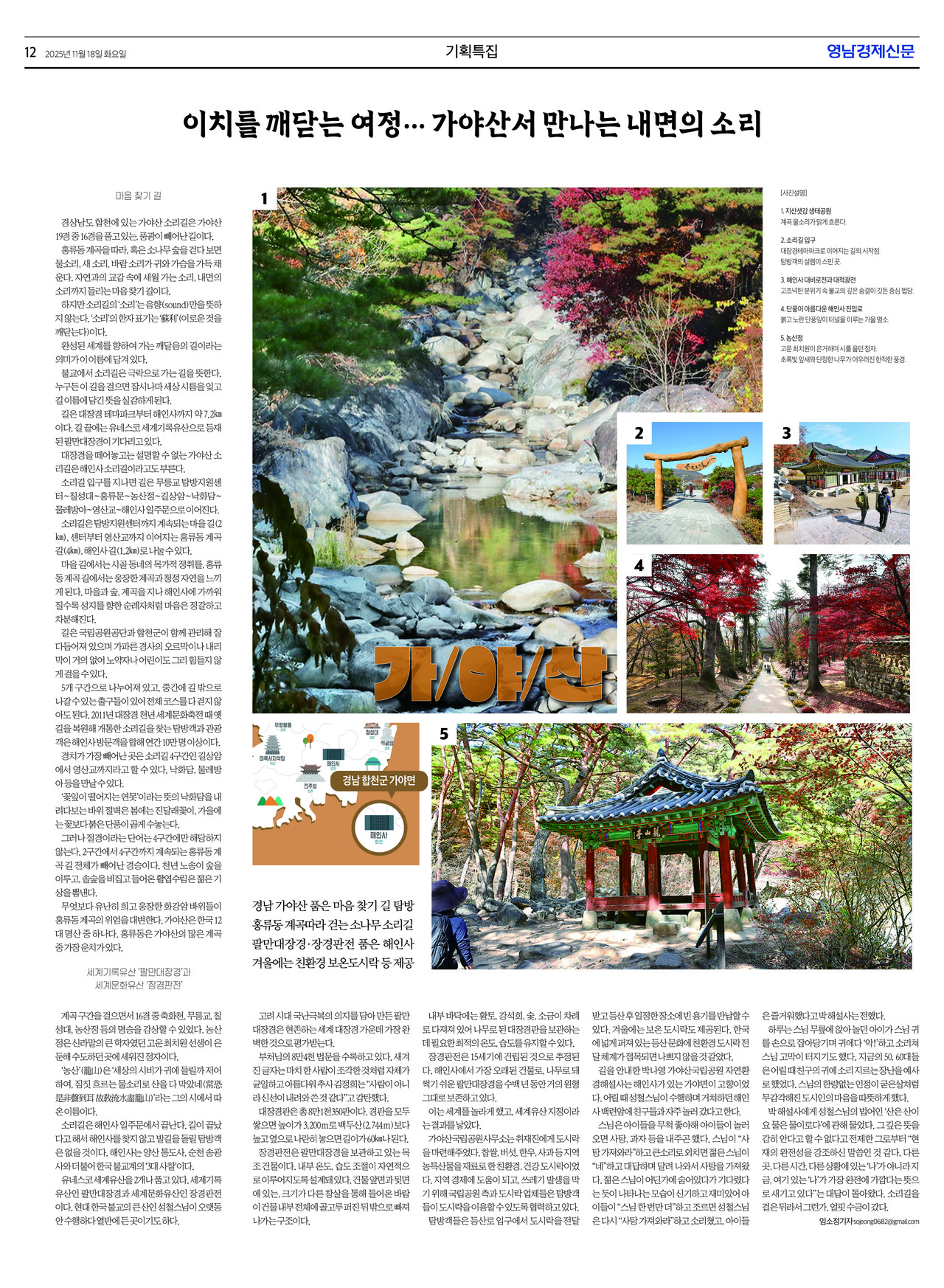 제작/임소정 기자