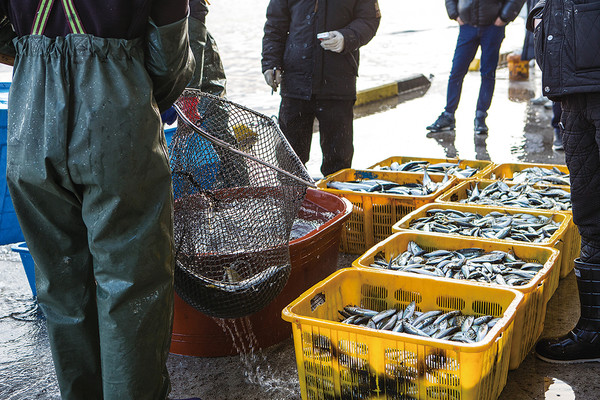 ▲ 기사와 관련 없는 이미지입니다. ⓒ영남경제 자료