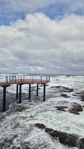 ▲ 해파랑길 단절구간 연결사업-오도지구